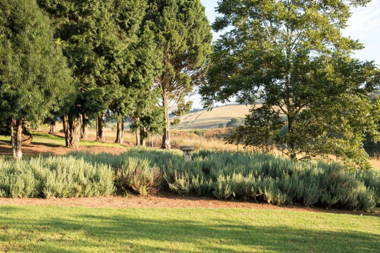 Lions River Country Cottages Extérieur photo